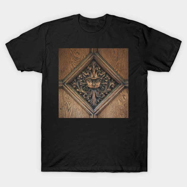 The Narnia Door T-Shirt by RJDowns